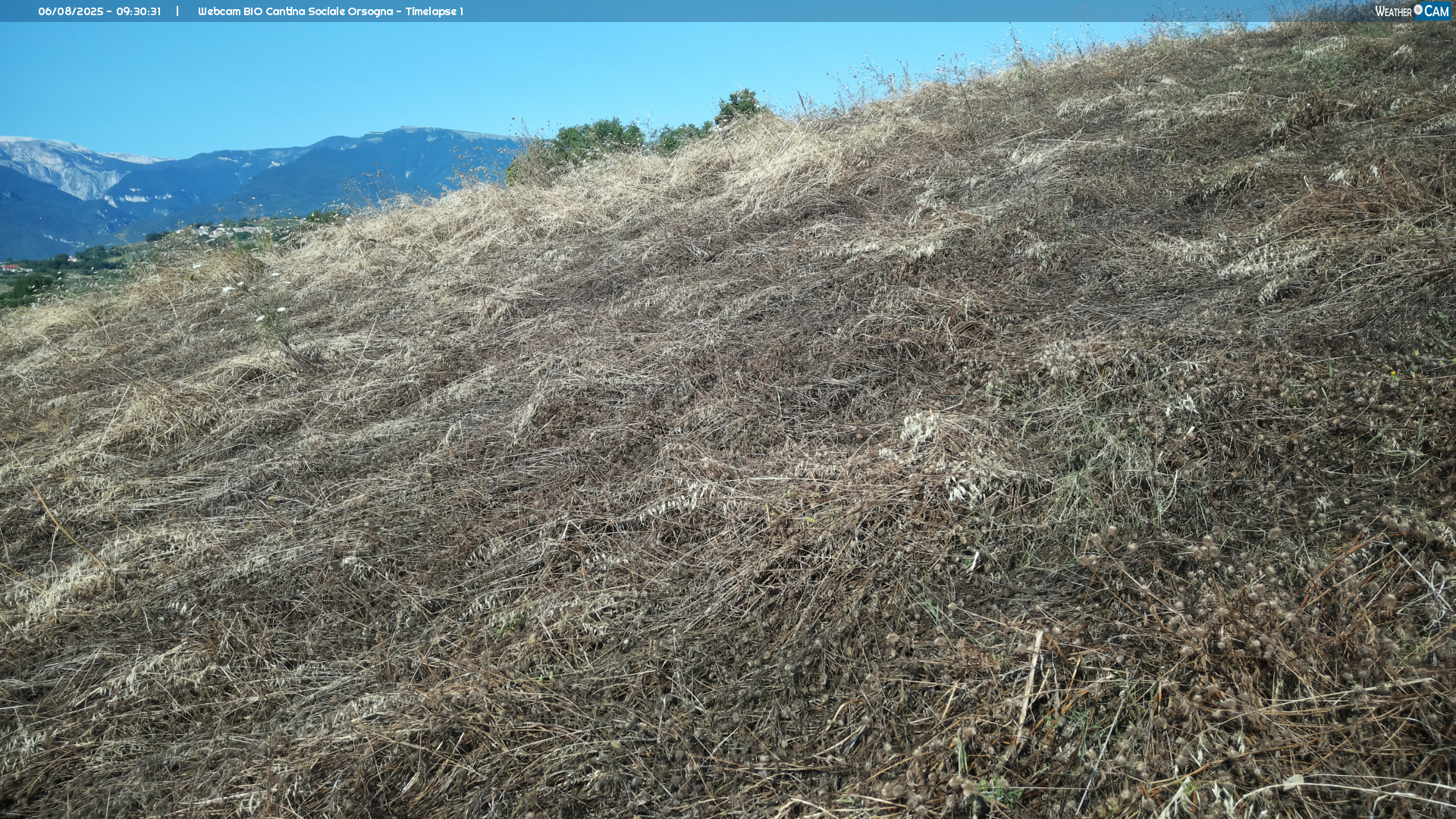 Webcam Orsogna