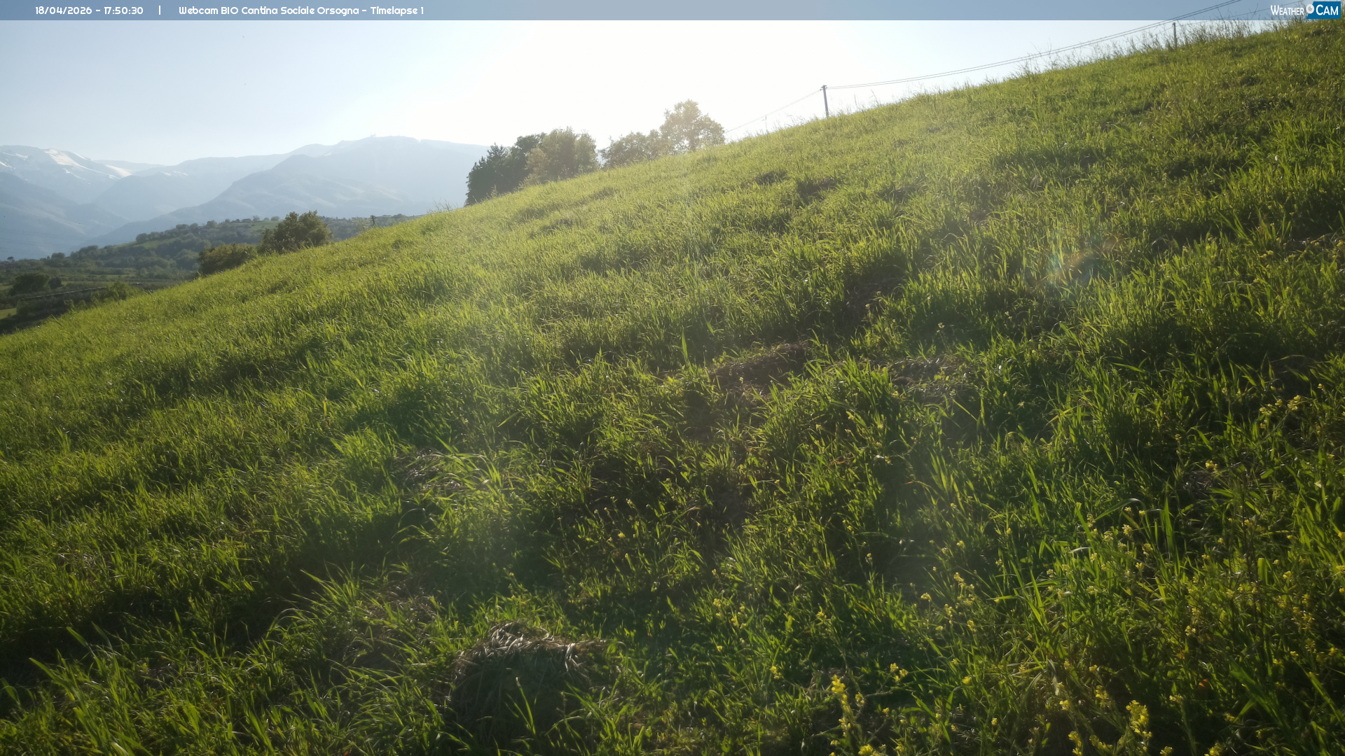 Webcam Orsogna