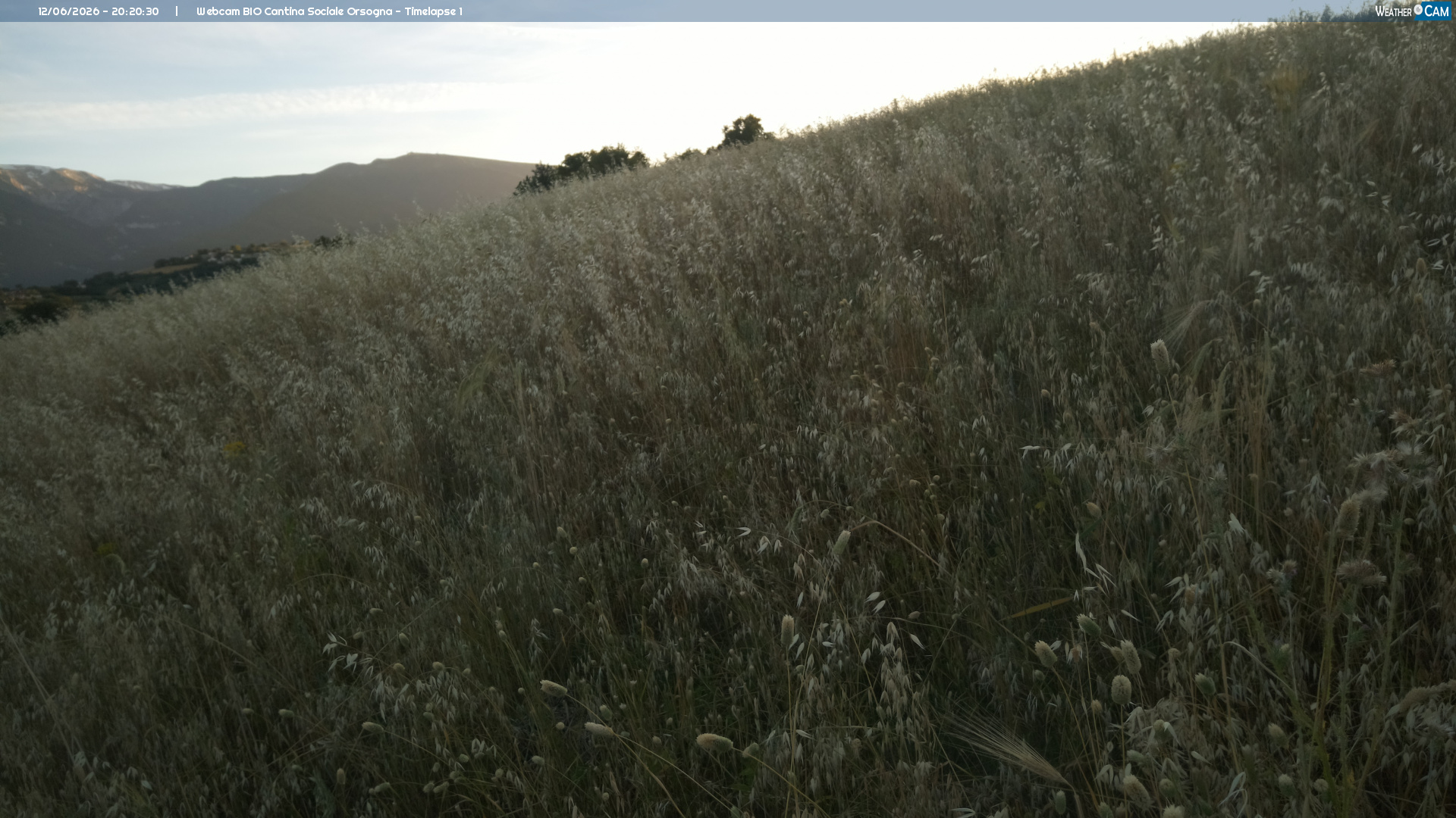 Webcam Orsogna