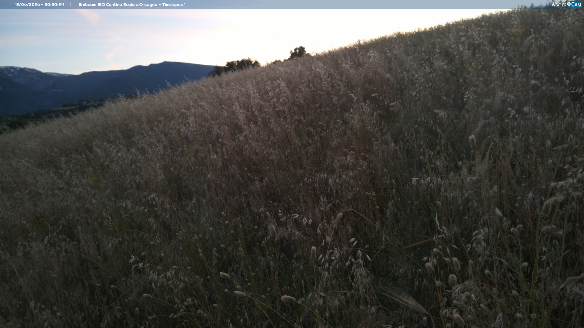 Webcam Orsogna