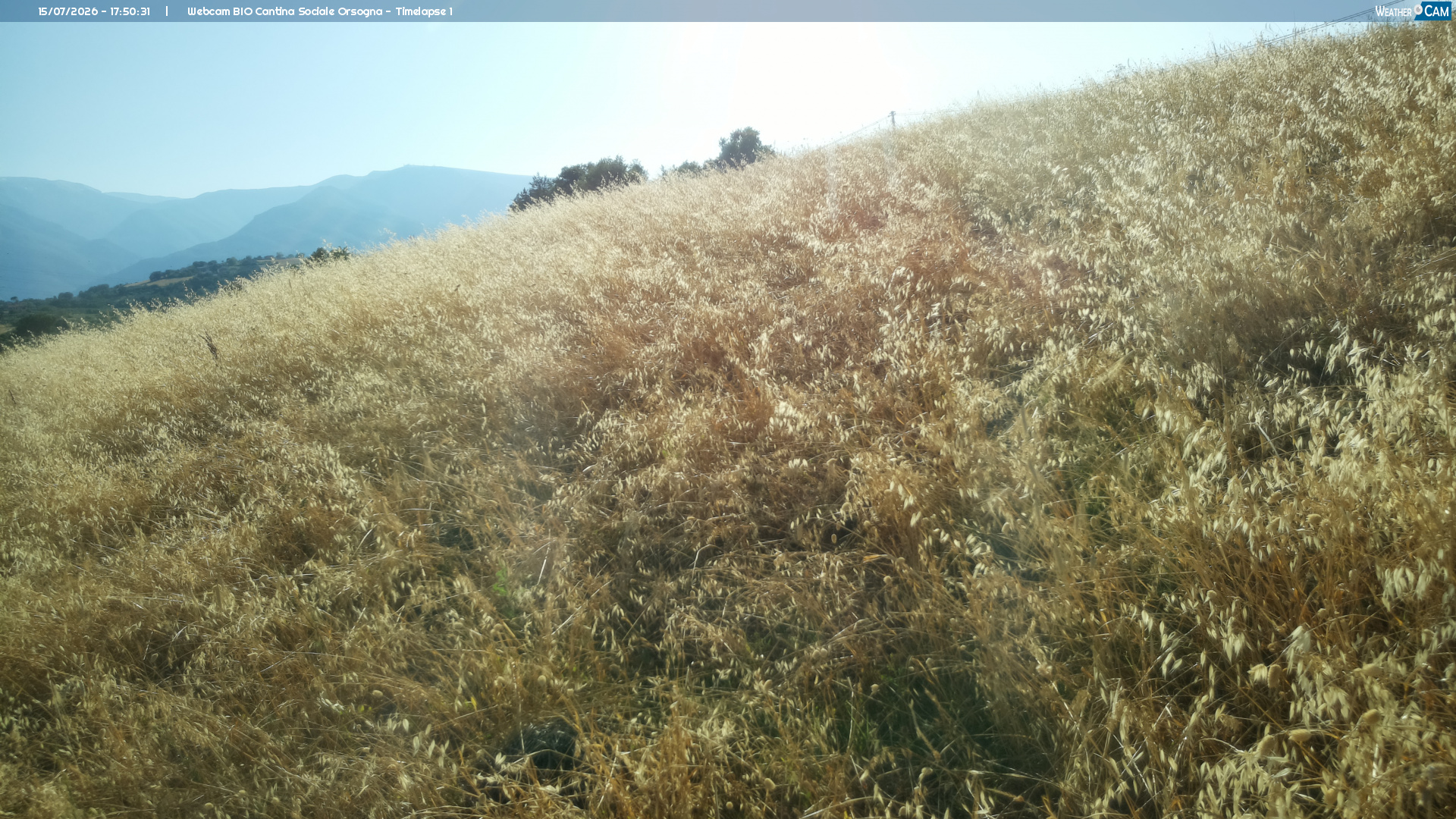Webcam Orsogna
